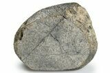 Unclassified Eucrite Meteorite ( g) - From Vesta #263812-3